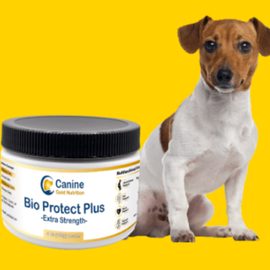 Bio Protect Plus - First & Only Vet-Formulated Dog Supplement